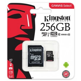 Scheda di memoria 256GB Kingston MicroSD Classe 10 100R A1